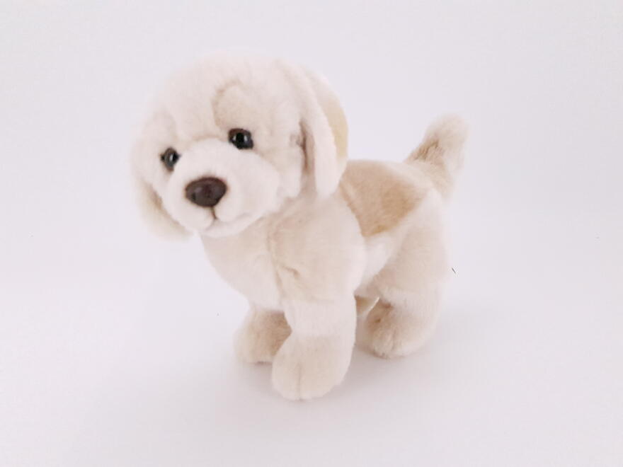 Koira kultainennoutaja 23cm