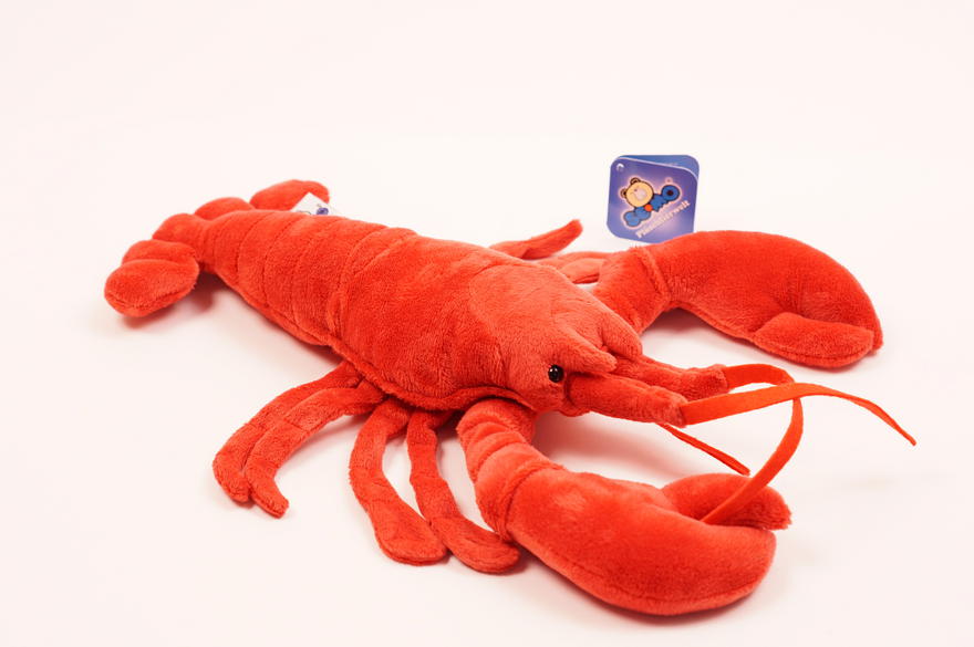 Rapu iso 30cm