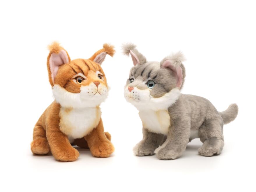 Kissa Maine Coon pentu 19cm